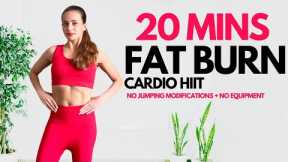 20 Minute Weight Loss & Fat Burn Cardio HIIT Workout (No Jumping Modifications)I Burn Belly Fat