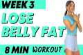 Lose Belly Fat Workout - 8  Minute