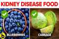 20 Best Foods For People With Kidney