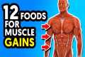 12 Best Foods For Muscle Building and 