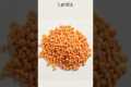 5 Best High Fiber Foods For