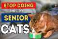Dr Jones' Top 7 Tips to a Healthy and 