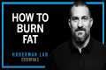 Lose Fat With Science-Based Tools |