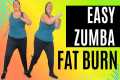 Zumba Dance Workout for Beginners |