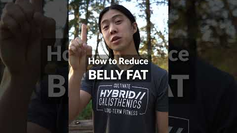 How to Lose Belly Fat