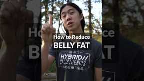 How to Lose Belly Fat