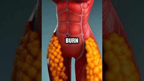 5 Foods that BURN belly fat fast