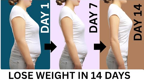 14 Days Weight Loss Challenge - Home Workout Routine 💯 Best Cardio Workout to Lose Weight 👍
