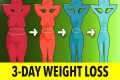 3-Day Weight Loss Challenge: Daily