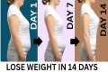 14 Days Weight Loss Challenge - Home