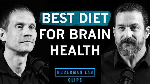 Best Diet to Improve & Maintain Brain Health | Dr. Tommy Wood & Dr. Andrew Huberman