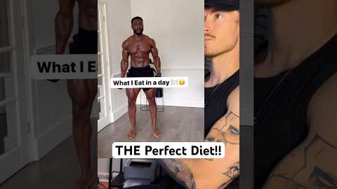 THE perfect diet review