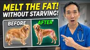 How to Make Your Dog Lose Weight WITHOUT Starving Them! (Vet Secret Exposed)