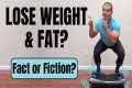 Do Vibration Plates REALLY Help You
