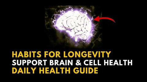 Habits for Healthy Longevity: Simple Daily Nutrition Ideas