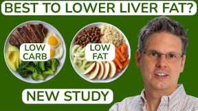 Which Diet is Best to Lower Liver Fat and Improve Insulin Sensitivity in People with Fatty Liver?