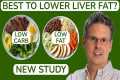 Which Diet is Best to Lower Liver Fat 