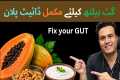 Best Diet Plan for a Healthy Gut