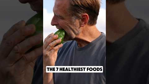 7 Healthiest Foods You Should Eat Daily
